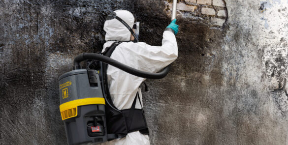 RHB150 H life burnt wall