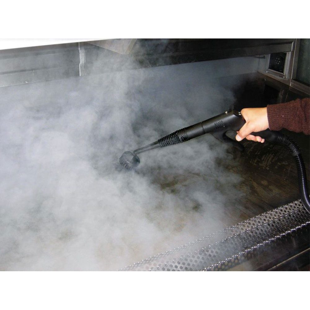Nettoyeur à vapeur sèche Nusteam Compact par Numatic